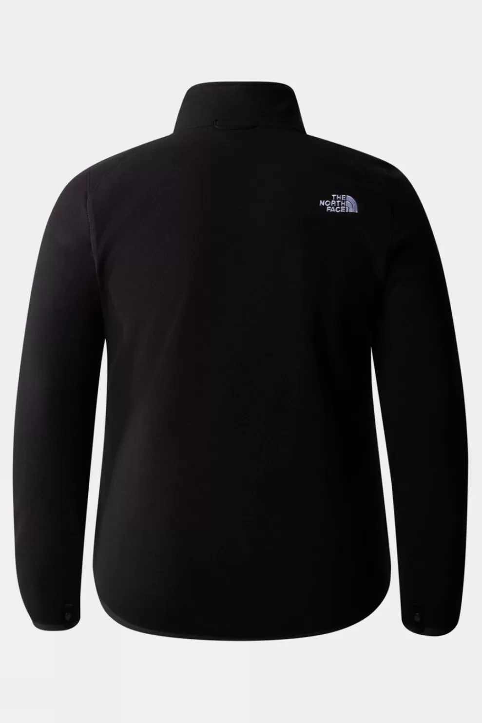 The North Face Womens Plus Size 100 Glacier Full Zip Fleece<Women Fleeces + Mid-Layers